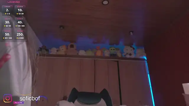 sofi sc online show from November 9, 2:26 pm