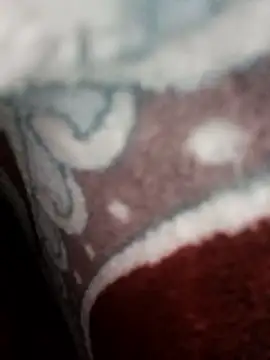 Snapshot of bigtelugubhama chatting on November 22, 11:09 am bigtelugubhama online show from November 22, 11:09 am