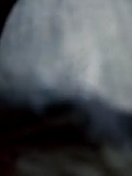 negro2828 online show from October 27, 10:58 pm