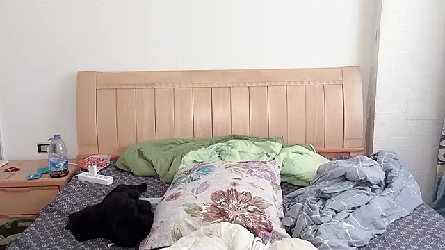 N228 online show from December 5, 6:55 am