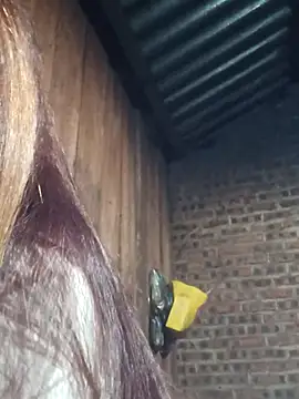 Snapshot of HGiasexy69 chatting on November 2, 10:23 pm HGiasexy69 online show from November 2, 10:23 pm