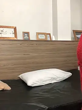 Veka Litox online show from November 1, 7:27 pm