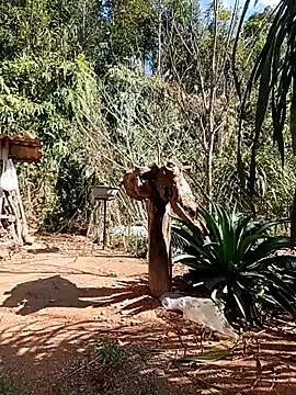 matbiec- online show from December 22, 5:15 am