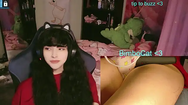 BimboCat online show from June 13, 8:07 pm