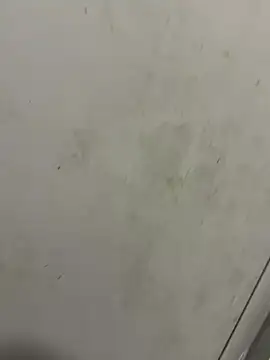 Isamperry69 online show from October 31, 4:02 am