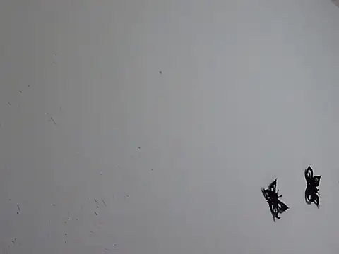 Morticia Black online show from January 18, 8:01 pm