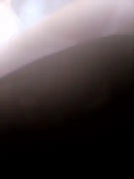 pino870 online show from January 14, 9:52 pm