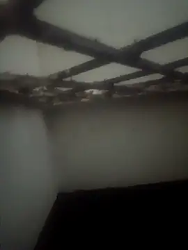 Pallu Asha online show from March 15, 3:51 pm