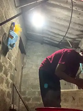 bi-bo123 online show from December 18, 12:00 pm