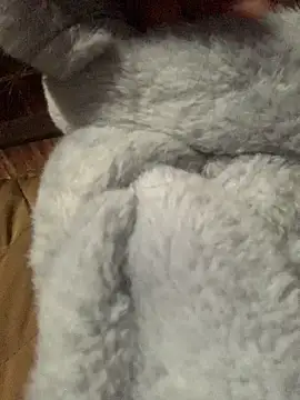 bi-bo123 online show from January 8, 1:19 am