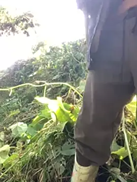 bi-bo123 online show from January 12, 3:12 am