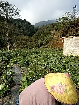 min nyny online show from December 2, 1:22 am