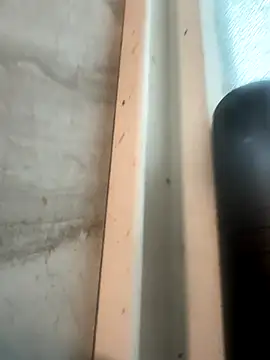 RobsBigD online show from October 30, 6:19 pm