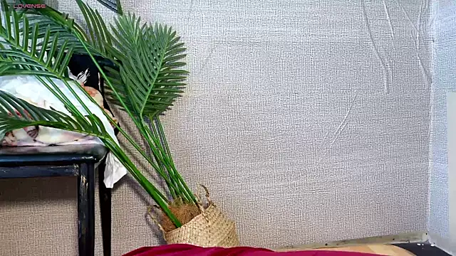 Snapshot of 0xiaosu0 chatting on December 20, 3:24 am 0xiaosu0 online show from December 20, 3:24 am