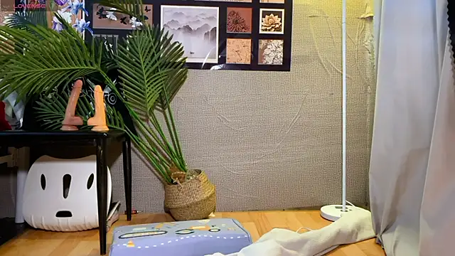 Snapshot of 0xiaosu0 chatting on January 16, 3:32 am 0xiaosu0 online show from January 16, 3:32 am