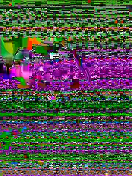 yuu tooo online show from June 15, 1:35 pm
