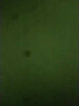 sexychd online show from December 14, 4:51 am