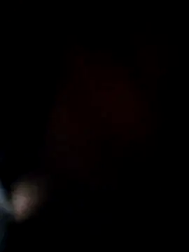 ANIMAA09 online show from November 29, 5:16 pm