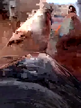 Vanja33 online show from November 3, 3:35 pm