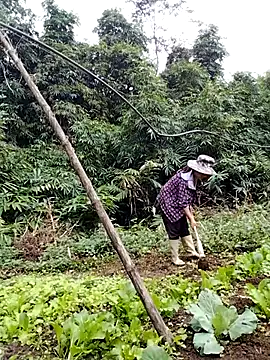 be-yeu online show from November 5, 2:22 am