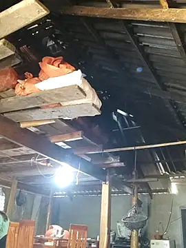 Snapshot of bibo-sex chatting on November 26, 5:41 am bibo-sex online show from November 26, 5:41 am