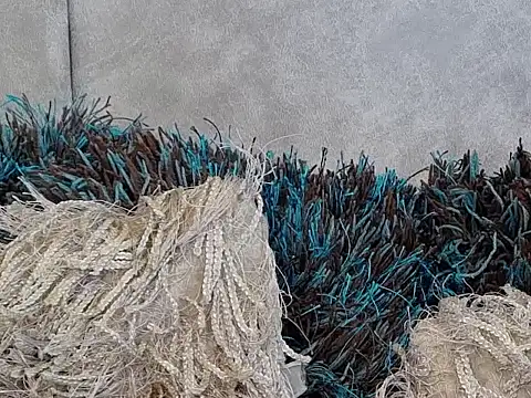 Snapshot of LannyShell chatting on November 26, 5:25 pm LannyShell online show from November 26, 5:25 pm