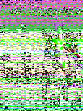 Snapshot of leenaboy@xh chatting on November 27, 4:31 pm leenaboyxh online show from November 27, 4:31 pm