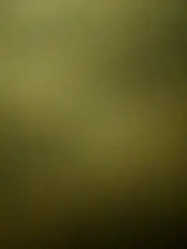 crazy boy55 online show from December 15, 5:28 pm