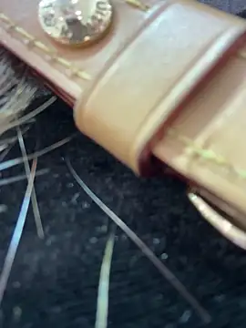 Snapshot of Cara-02 chatting on November 19, 4:34 am Cara-02 online show from November 19, 4:34 am