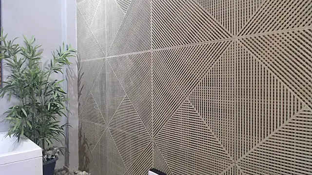 Snapshot of Noah_dupont_ chatting on November 20, 11:54 am Noah dupont online show from November 20, 11:54 am