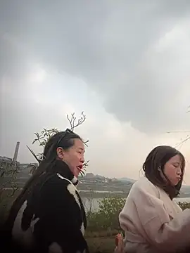 Snapshot of tiantiandao chatting on December 1, 8:30 am tiantiandao online show from December 1, 8:30 am