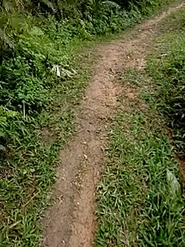 Snapshot of Cloud-wh chatting on February 24, 3:37 am Cloud-wh online show from February 24, 3:37 am