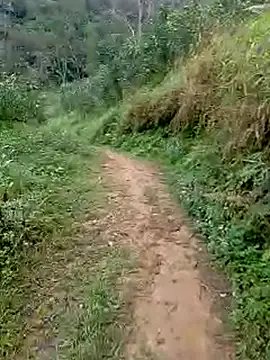 Snapshot of Cloud-wh chatting on March 5, 12:39 am Cloud-wh online show from March 5, 12:39 am