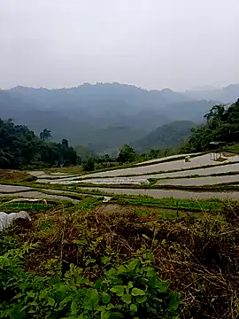 Snapshot of Cloud-wh chatting on March 14, 2:39 am Cloud-wh online show from March 14, 2:39 am