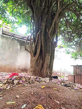 Snapshot of Lucasjandre chatting on November 22, 10:14 am Lucasjandre online show from November 22, 10:14 am