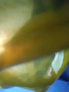 chim-yen online show from November 19, 3:50 am