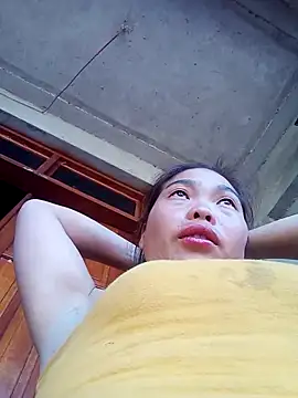 chim-yen online show from November 26, 7:31 am