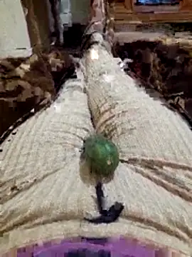 Snapshot of Tota_sexi chatting on November 27, 10:45 pm Tota sexi online show from November 27, 10:45 pm