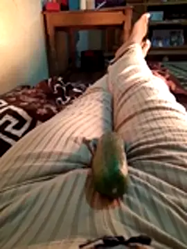 Snapshot of Tota_sexi chatting on November 28, 10:51 am Tota sexi online show from November 28, 10:51 am