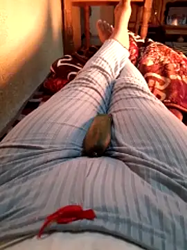 Snapshot of Tota_sexi chatting on December 4, 11:30 am Tota sexi online show from December 4, 11:30 am