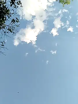 Snapshot of joselo2217 chatting on November 25, 9:15 pm joselo2217 online show from November 25, 9:15 pm