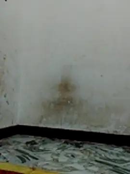 Bigg bhabi online show from January 31, 11:14 pm