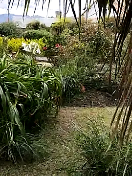 Snapshot of LilyMature_x chatting on November 27, 9:06 pm LilyMature x online show from November 27, 9:06 pm