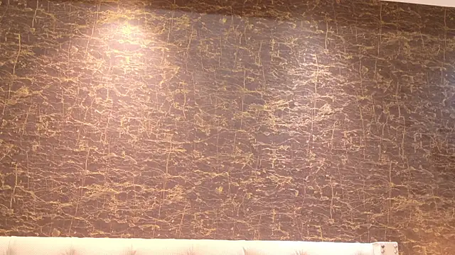 zyrastorm online show from January 17, 4:43 pm