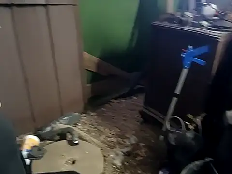 paypapoppa online show from January 17, 2:33 pm