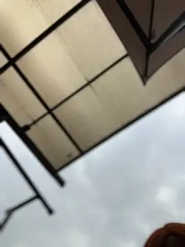 Snapshot of Belanny_LS chatting on December 5, 2:58 pm Belanny LS online show from December 5, 2:58 pm