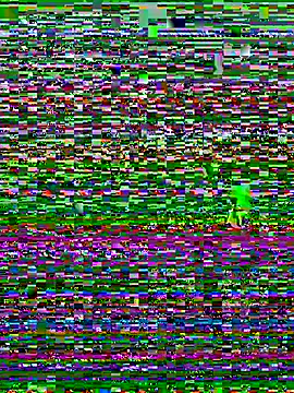 Maria-Becker online show from January 5, 5:27 pm