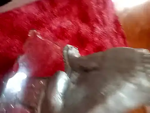 Snapshot of Jeison0323 chatting on February 4, 8:25 pm Jeison0323 online show from February 4, 8:25 pm