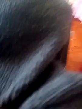 Snapshot of Jeison0323 chatting on February 25, 8:29 pm Jeison0323 online show from February 25, 8:29 pm