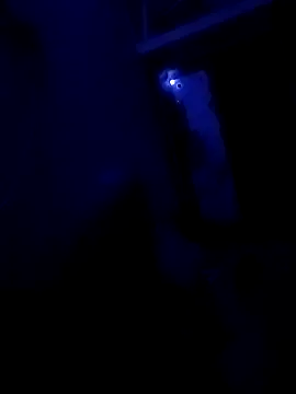 starnighcouple online show from April 26, 6:05 pm